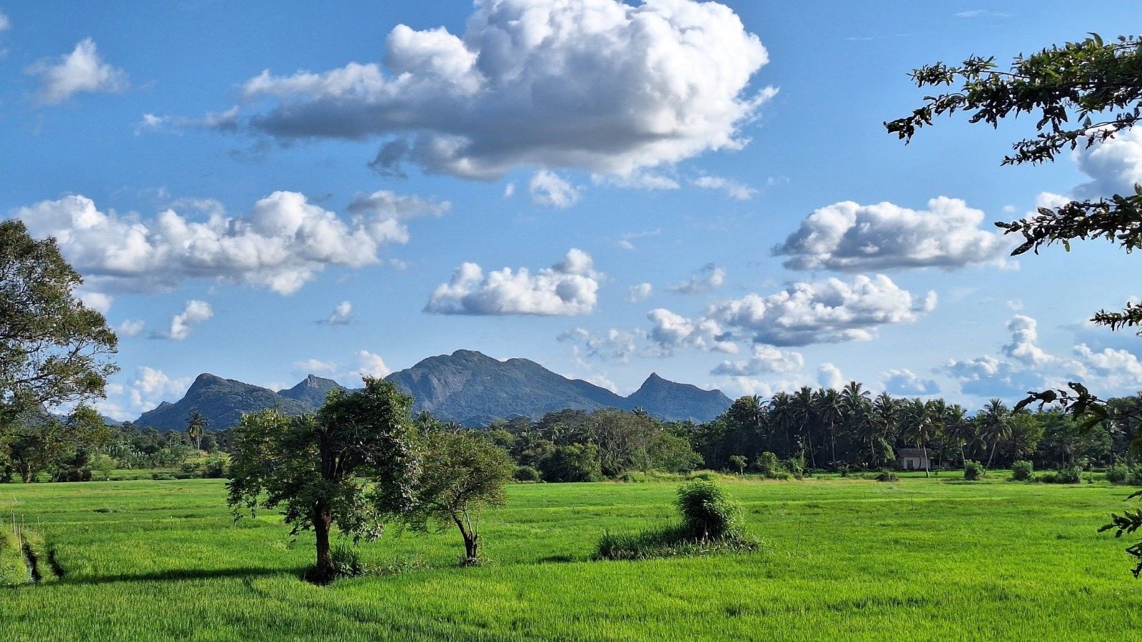 Dark gemstone mining landscape in Sri Lanka